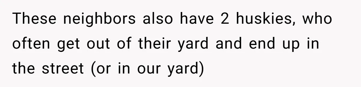 These neighbors also have 2 huskies, who often get out of their yard and end up in the street (or in our yard)