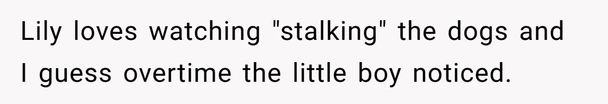 Lily loves watching "stalking" the dogs and I guess overtime the little boy noticed.