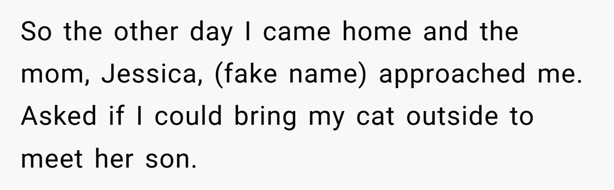 So the other day I came home and the mom, Jessica, (fake name) approached me. Asked if I could bring my cat outside to meet her son.