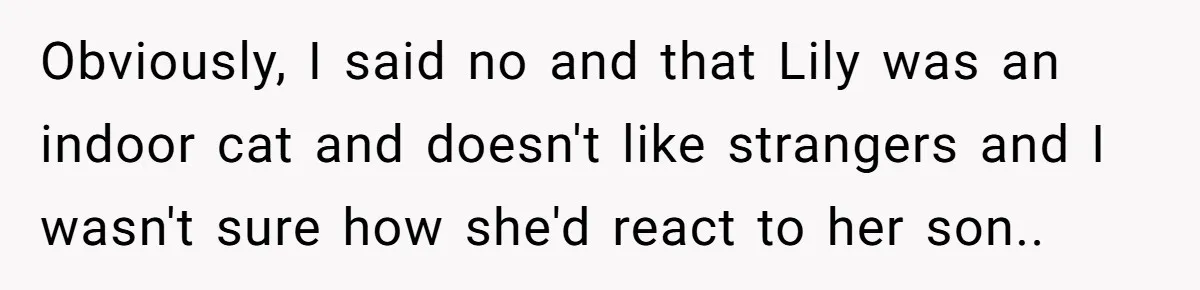 Obviously, I said no and that Lily was an indoor cat and doesn't like strangers and I wasn't sure how she'd react to her son..