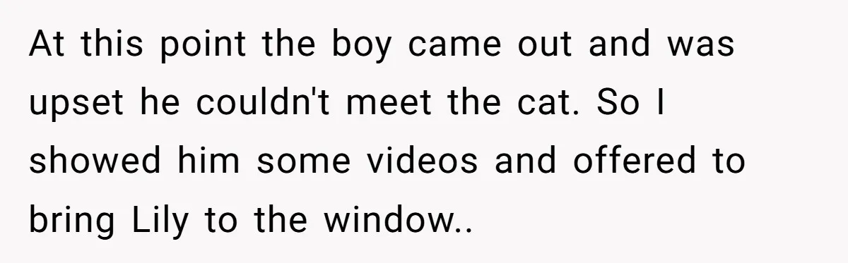 At this point the boy came out and was upset he couldn't meet the cat. So I showed him some videos and offered to bring Lily to the window..