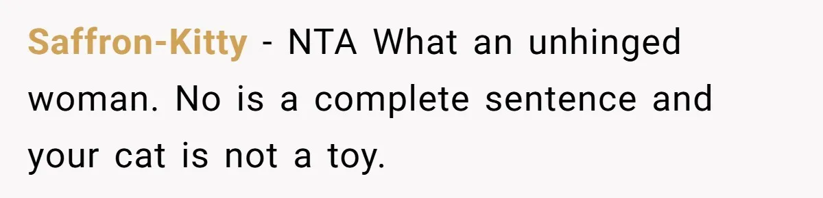 Saffron-Kitty − NTA What an unhinged woman. No is a complete sentence and your cat is not a toy.