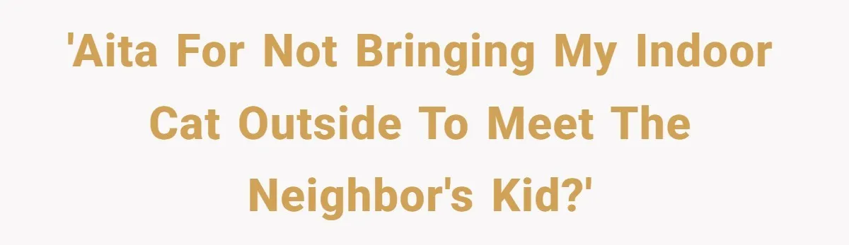'AITA for NOT bringing my indoor cat outside to meet the neighbor's kid?'