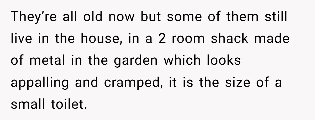 They’re all old now but some of them still live in the house, in a 2 room shack made of metal in the garden which looks appalling and cramped, it...