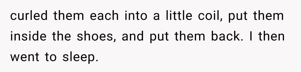 curled them each into a little coil, put them inside the shoes, and put them back. I then went to sleep.