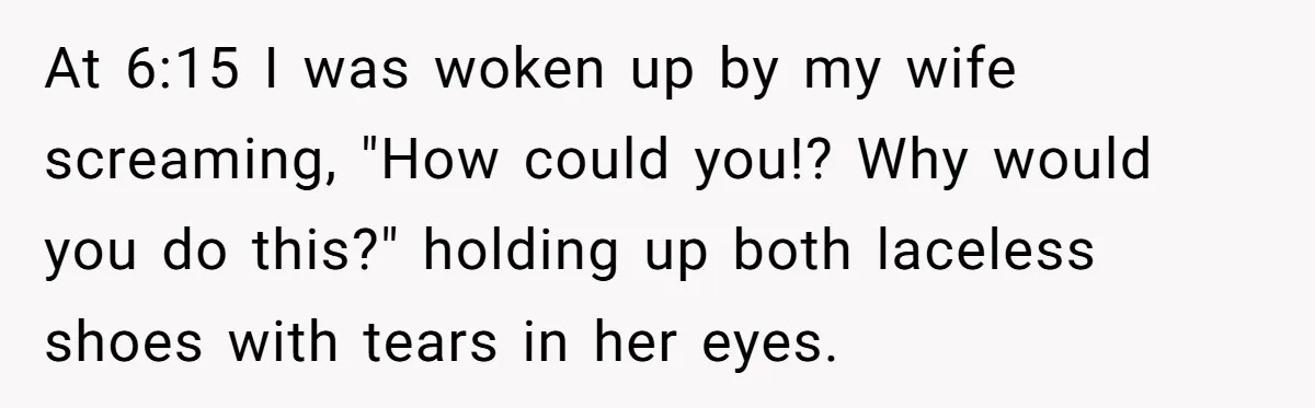 At 6:15 I was woken up by my wife screaming, "How could you!? Why would you do this?" holding up both laceless shoes with tears in her eyes.