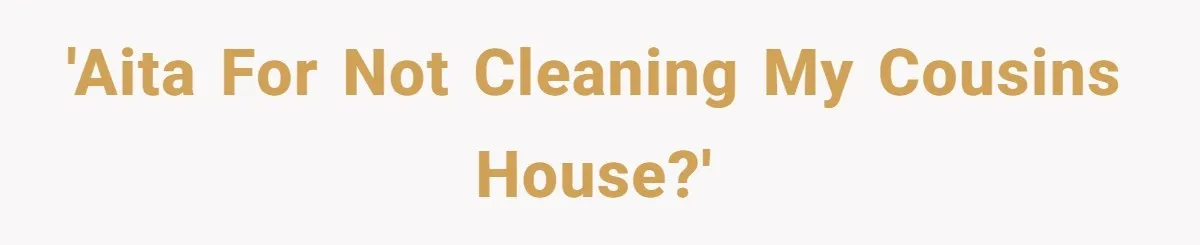 Woman Branded Selfish For Watching Five Children While Her Overwhelmed Cousin Cleaned The House 'AITA for not cleaning my cousins house?'
