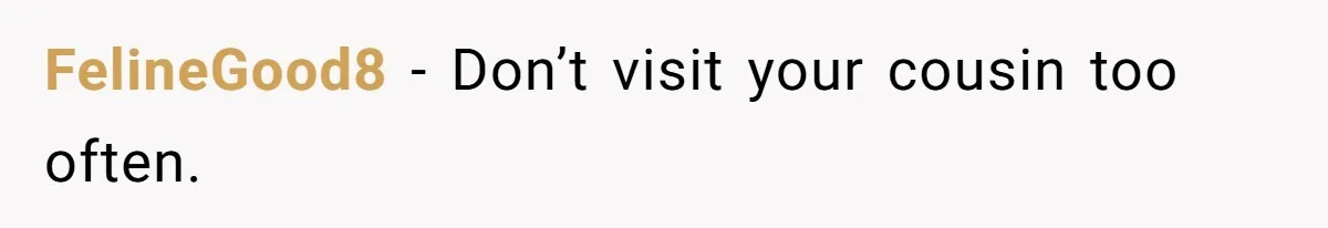 Woman Branded Selfish For Watching Five Children While Her Overwhelmed Cousin Cleaned The House FelineGood8 − Don’t visit your cousin too often.