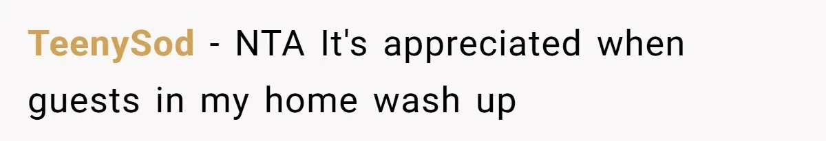 Woman Branded Selfish For Watching Five Children While Her Overwhelmed Cousin Cleaned The House TeenySod − NTA It's appreciated when guests in my home wash up