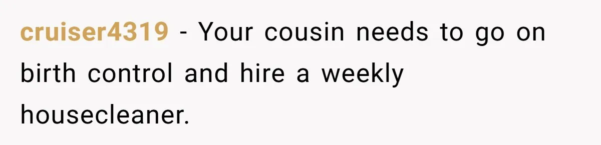 Woman Branded Selfish For Watching Five Children While Her Overwhelmed Cousin Cleaned The House cruiser4319 − Your cousin needs to go on birth control and hire a weekly housecleaner.
