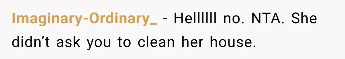 Woman Branded Selfish For Watching Five Children While Her Overwhelmed Cousin Cleaned The House Imaginary-Ordinary_ − Hellllll no. NTA. She didn’t ask you to clean her house.