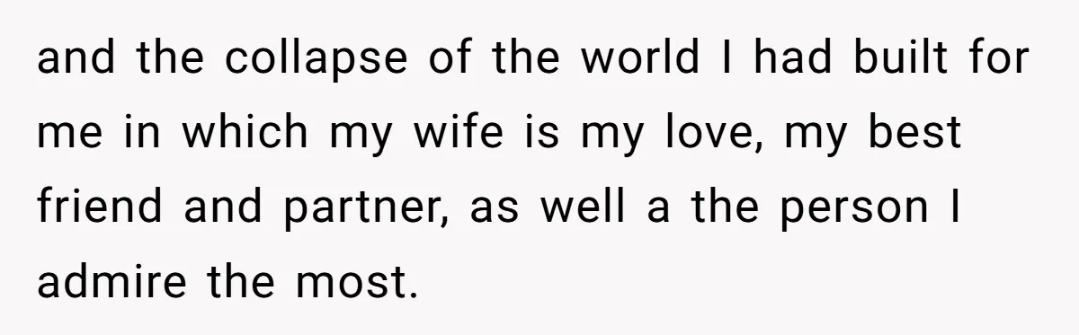 and the collapse of the world I had built for me in which my wife is my love, my best friend and partner, as well a the person I admire...