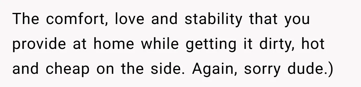 The comfort, love and stability that you provide at home while getting it dirty, hot and cheap on the side. Again, sorry dude.)