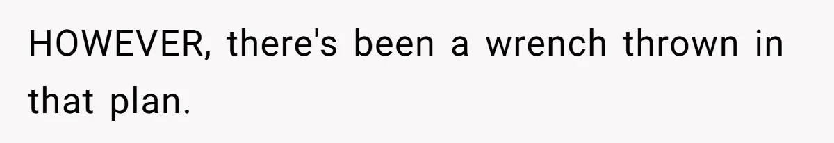 HOWEVER, there's been a wrench thrown in that plan.