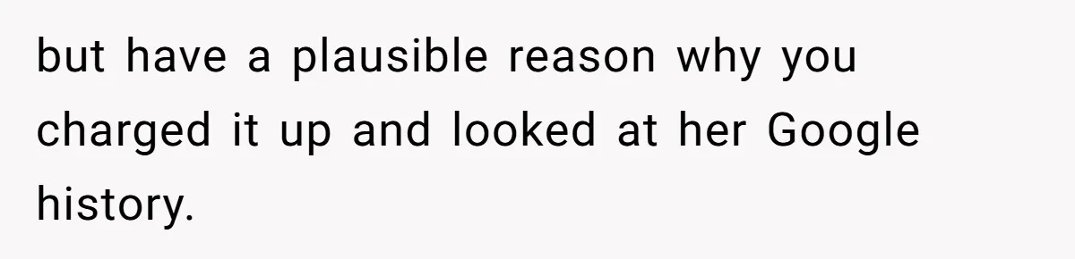 but have a plausible reason why you charged it up and looked at her Google history.