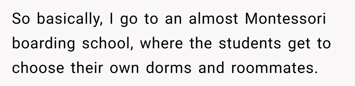 So basically, I go to an almost Montessori boarding school, where the students get to choose their own dorms and roommates.