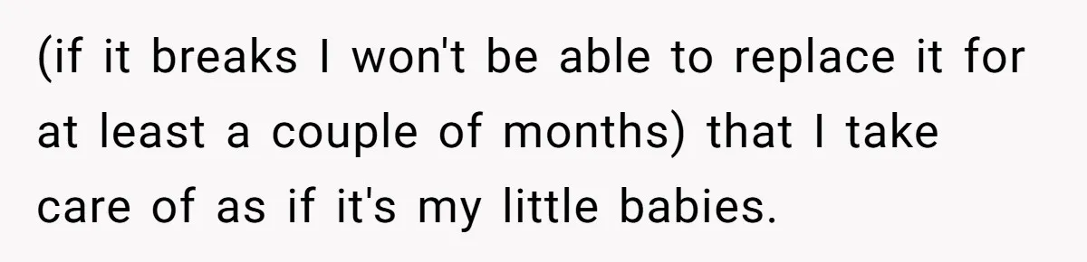 (if it breaks I won't be able to replace it for at least a couple of months) that I take care of as if it's my little babies.
