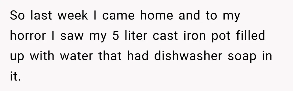 So last week I came home and to my horror I saw my 5 liter cast iron pot filled up with water that had dishwasher soap in it.