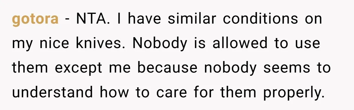 gotora − NTA. I have similar conditions on my nice knives. Nobody is allowed to use them except me because nobody seems to understand how to care for them properly.