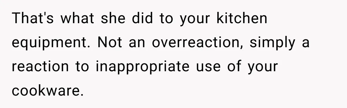 That's what she did to your kitchen equipment. Not an overreaction, simply a reaction to inappropriate use of your cookware.