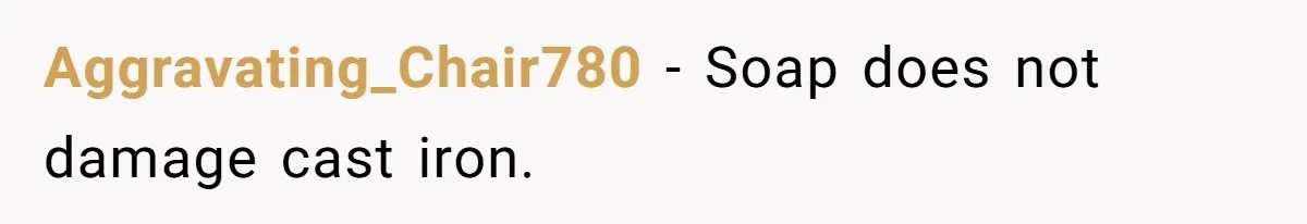 Aggravating_Chair780 − Soap does not damage cast iron.