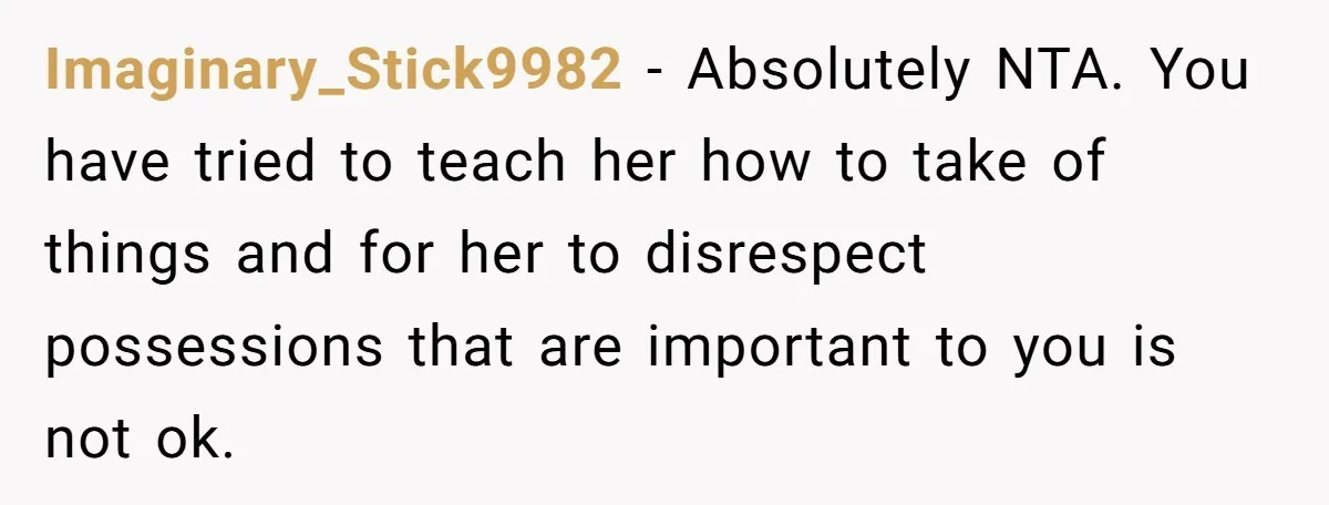 Imaginary_Stick9982 − Absolutely NTA. You have tried to teach her how to take of things and for her to disrespect possessions that are important to you is not ok.