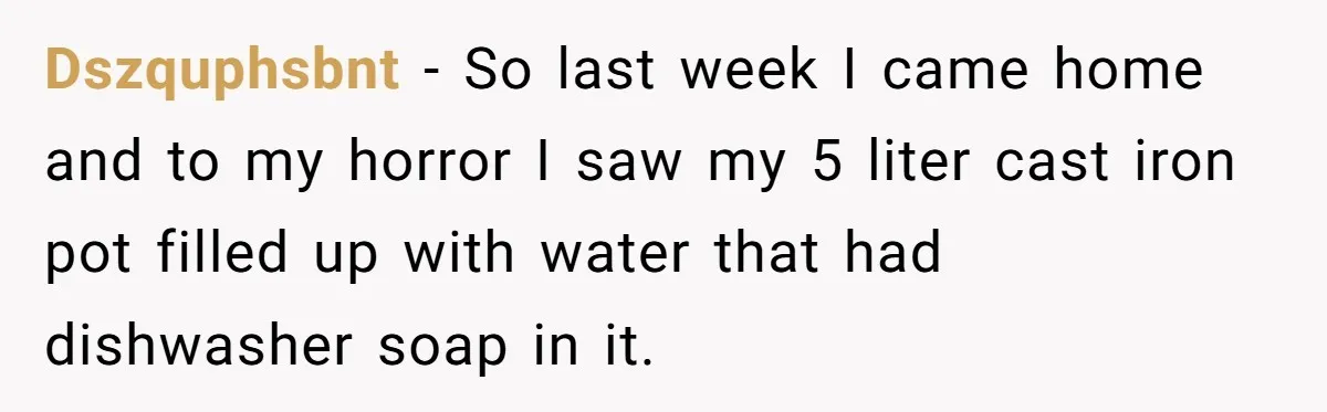 Dszquphsbnt − So last week I came home and to my horror I saw my 5 liter cast iron pot filled up with water that had dishwasher soap in it.