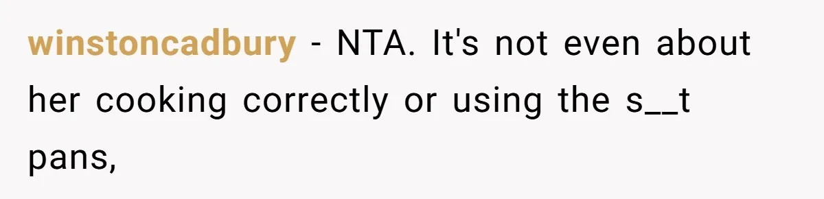 winstoncadbury − NTA. It's not even about her cooking correctly or using the s__t pans,