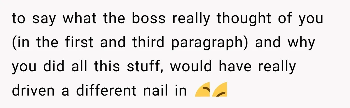 to say what the boss really thought of you (in the first and third paragraph) and why you did all this stuff, would have really driven a different nail in...