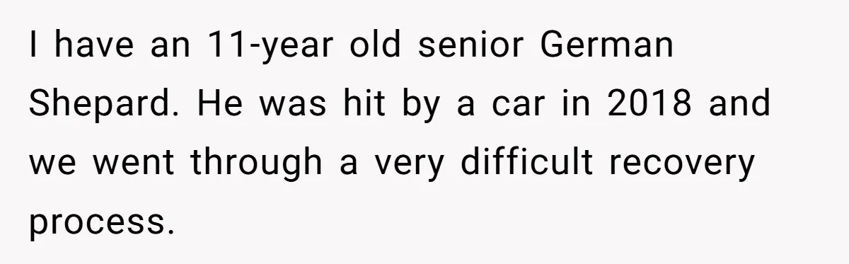I have an 11-year old senior German Shepard. He was hit by a car in 2018 and we went through a very difficult recovery process.