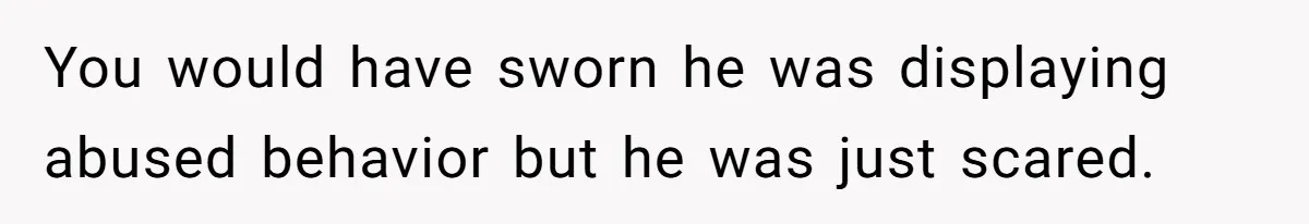 You would have sworn he was displaying abused behavior but he was just scared.