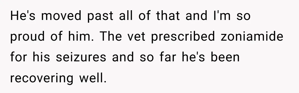 He's moved past all of that and I'm so proud of him. The vet prescribed zoniamide for his seizures and so far he's been recovering well.