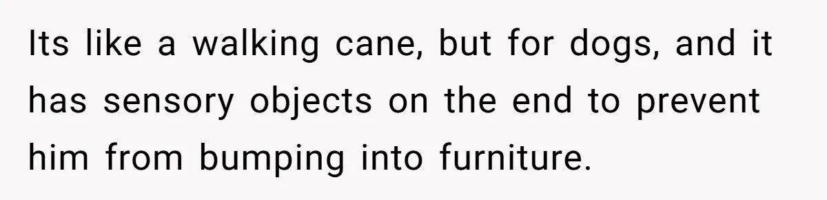 Its like a walking cane, but for dogs, and it has sensory objects on the end to prevent him from bumping into furniture.