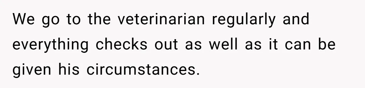 We go to the veterinarian regularly and everything checks out as well as it can be given his circumstances.