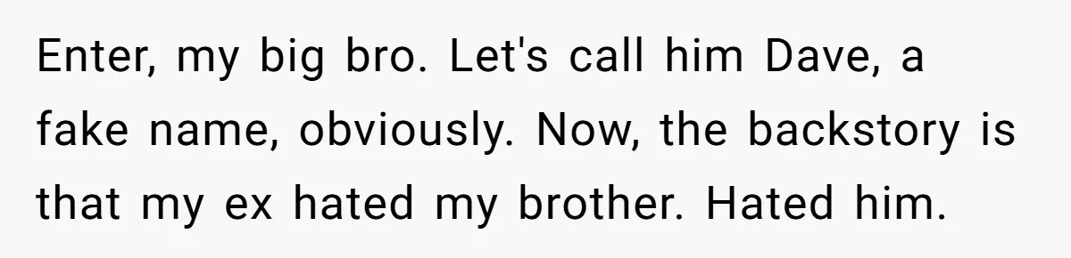 Enter, my big bro. Let's call him Dave, a fake name, obviously. Now, the backstory is that my ex hated my brother. Hated him.