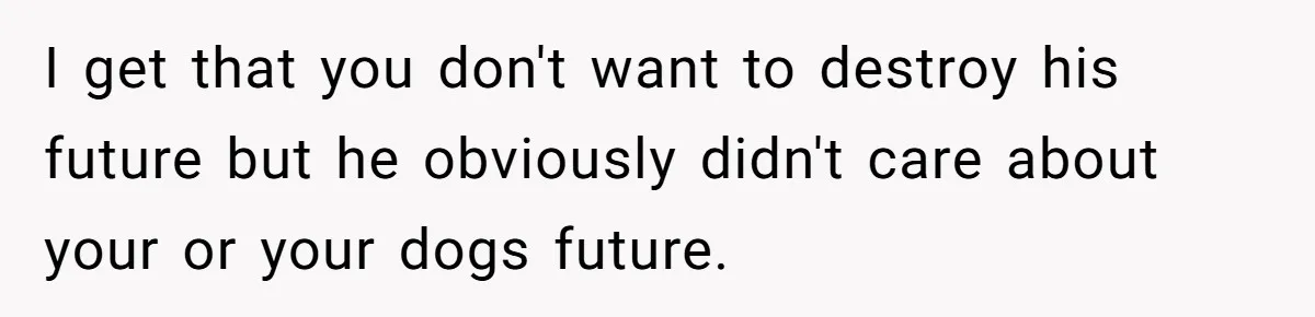 I get that you don't want to destroy his future but he obviously didn't care about your or your dogs future.