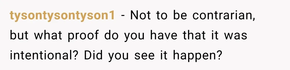 tysontysontyson1 − Not to be contrarian, but what proof do you have that it was intentional? Did you see it happen?