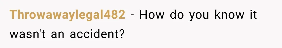 Throwawaylegal482 − How do you know it wasn't an accident?