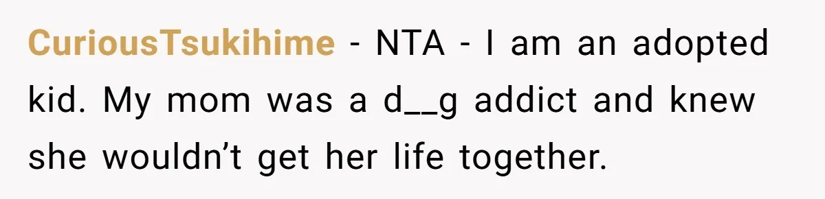 CuriousTsukihime − NTA - I am an adopted kid. My mom was a d__g addict and knew she wouldn’t get her life together.