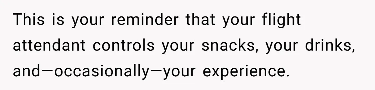 This is your reminder that your flight attendant controls your snacks, your drinks, and—occasionally—your experience.