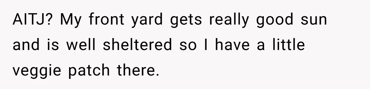 AITJ? My front yard gets really good sun and is well sheltered so I have a little veggie patch there.