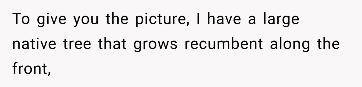 To give you the picture, I have a large native tree that grows recumbent along the front,