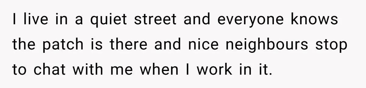 I live in a quiet street and everyone knows the patch is there and nice neighbours stop to chat with me when I work in it.
