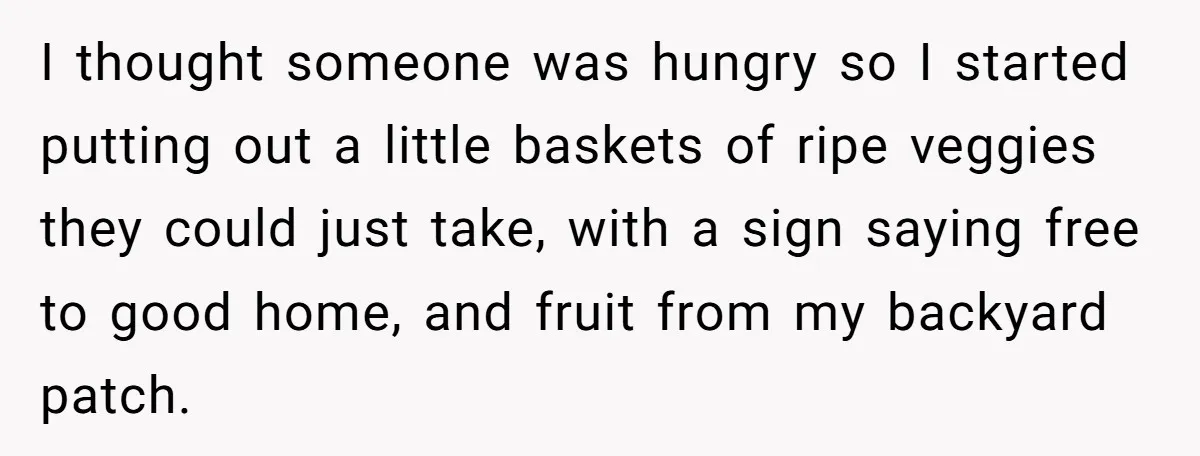 I thought someone was hungry so I started putting out a little baskets of ripe veggies they could just take, with a sign saying free to good home, and fruit...