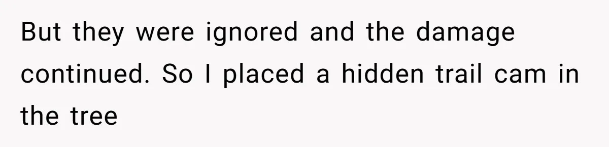 But they were ignored and the damage continued. So I placed a hidden trail cam in the tree