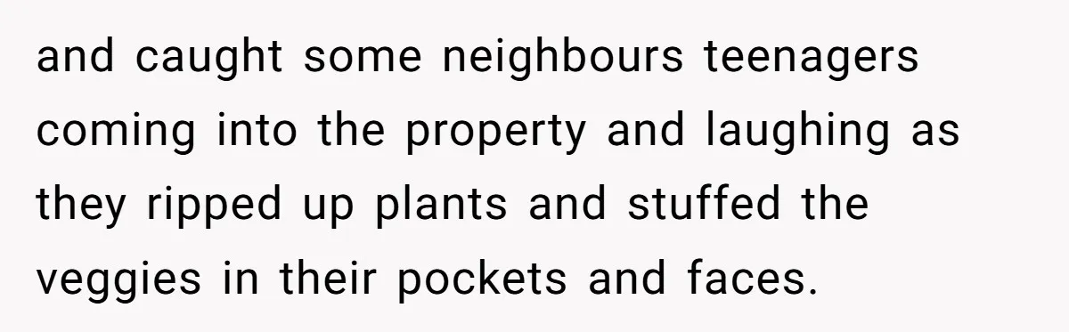and caught some neighbours teenagers coming into the property and laughing as they ripped up plants and stuffed the veggies in their pockets and faces.