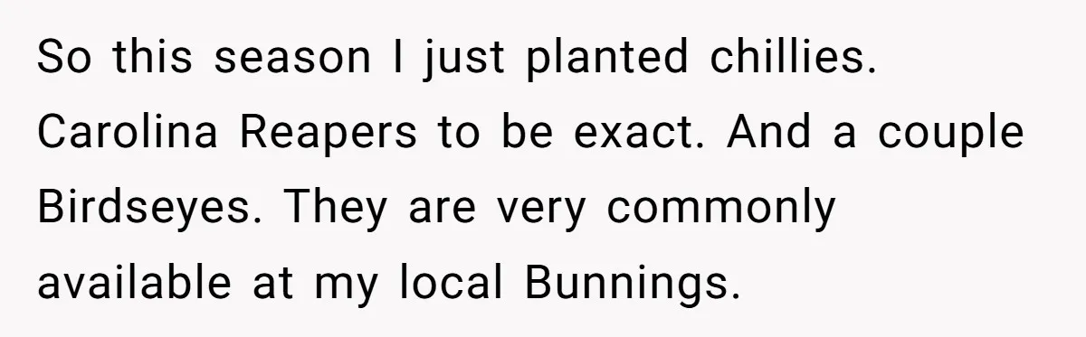 So this season I just planted chillies. Carolina Reapers to be exact. And a couple Birdseyes. They are very commonly available at my local Bunnings.