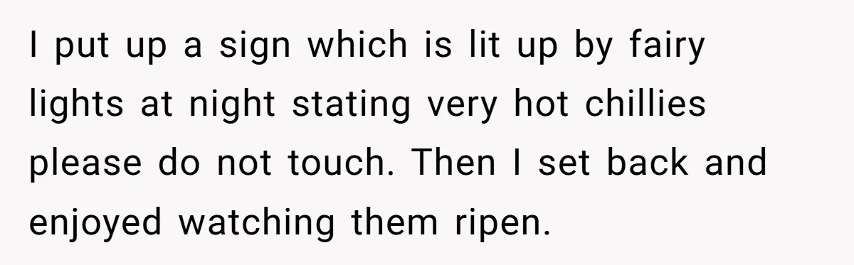 I put up a sign which is lit up by fairy lights at night stating very hot chillies please do not touch. Then I set back and enjoyed watching them...
