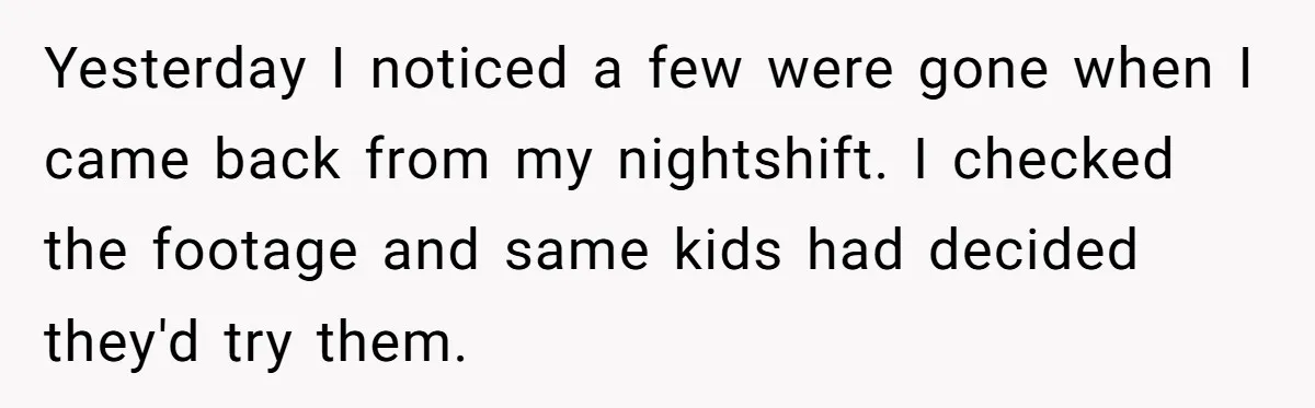 Yesterday I noticed a few were gone when I came back from my nightshift. I checked the footage and same kids had decided they'd try them.
