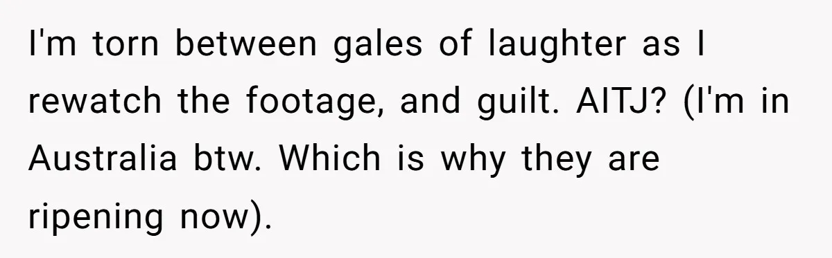 I'm torn between gales of laughter as I rewatch the footage, and guilt. AITJ? (I'm in Australia btw. Which is why they are ripening now).